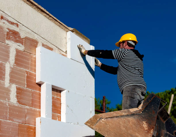 Best Insulation Removal  in Keystone Heights, FL